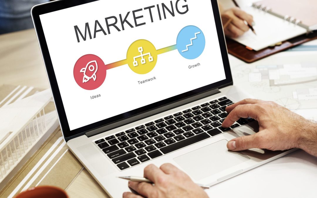 Marketing tips for beginners to grow your business in 2024
